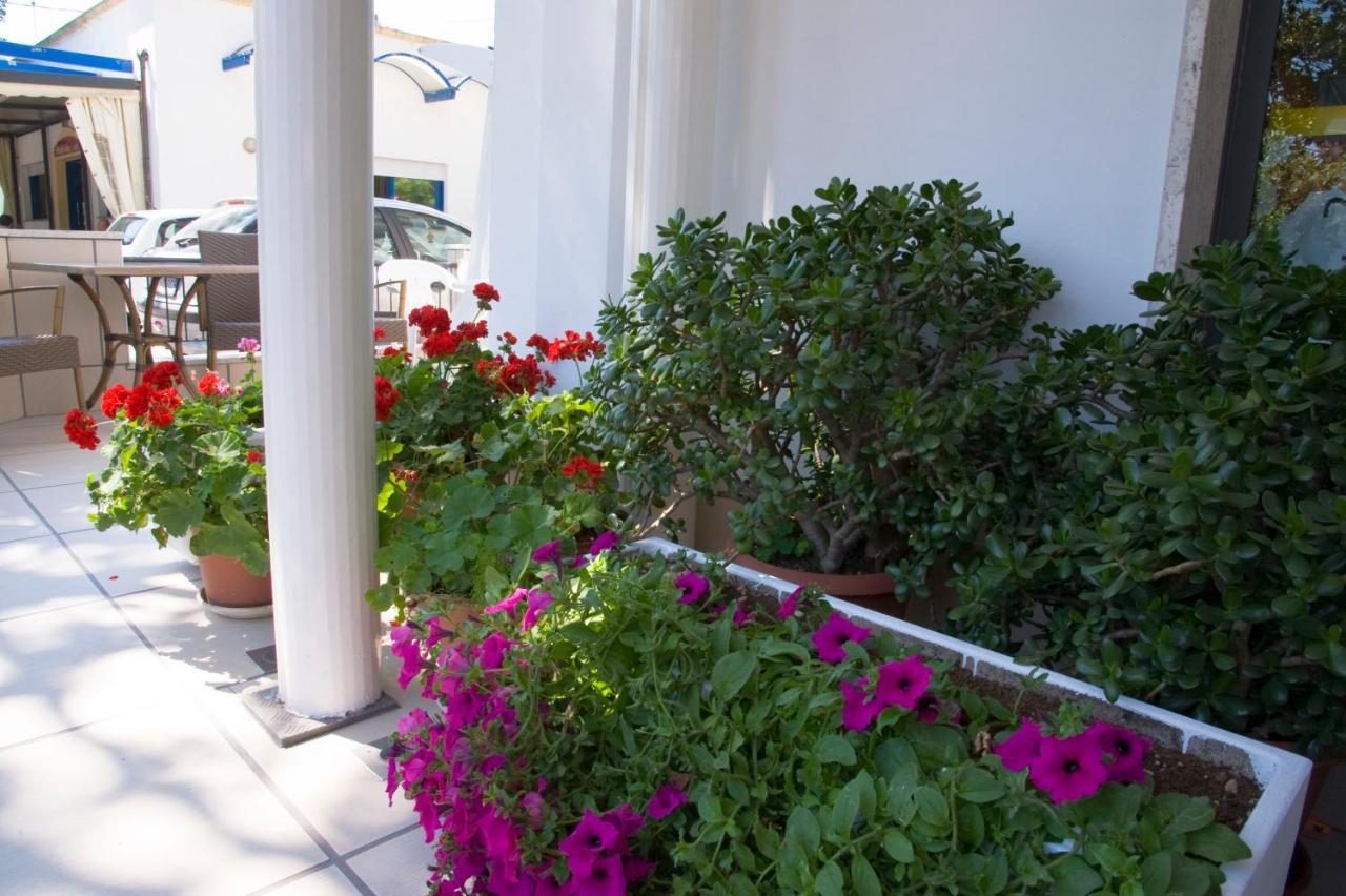 Hotel Maris Stella Riccione Kültér fotó